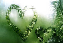 开云体育2026-年度焦点之战，当国王摘下玫瑰，开拓者时代悄然落幕